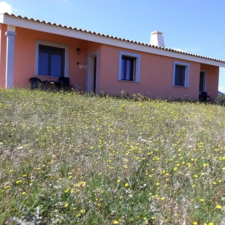 Gli Olivastri: Sea View With Pool And Wi-fi Aglientu