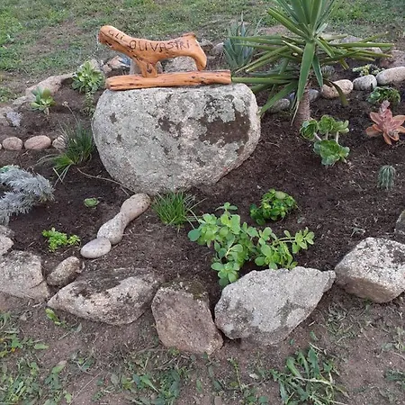 Gli Olivastri, La Rosa Dei Venti Con Piscina E Solarium , Vista Mare ,climatizzatore ,wifi Appartement
