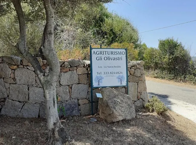 Gli Olivastri, La Rosa Dei Venti Con Piscina E Solarium , Vista Mare ,climatizzatore ,wifi