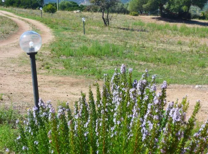 Gli Olivastri, La Rosa Dei Venti Con Piscina E Solarium , Vista Mare ,climatizzatore ,wifi Appartamento Aglientu