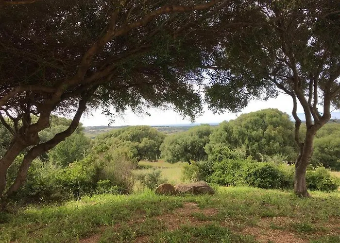 Appartamento Gli Olivastri, La Rosa Dei Venti Con Piscina E Solarium , Vista Mare ,climatizzatore ,wifi