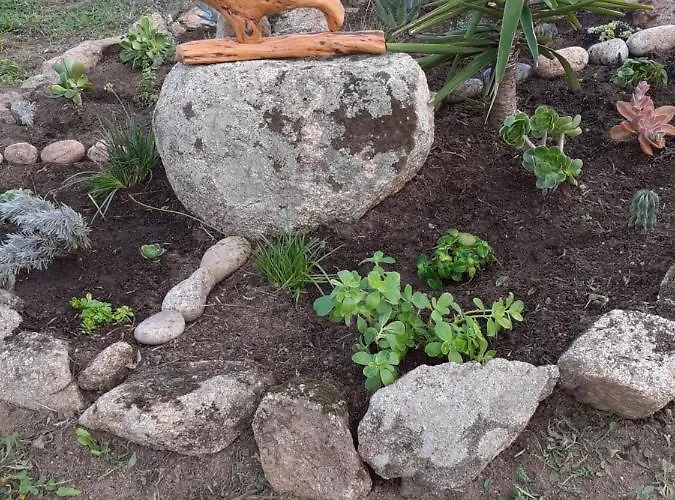 Gli Olivastri, La Rosa Dei Venti Con Piscina E Solarium , Vista Mare ,climatizzatore ,wifi Appartamento