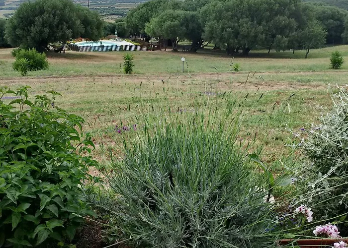 Gli Olivastri, La Rosa Dei Venti Con Piscina E Solarium , Vista Mare ,climatizzatore ,wifi Appartamento