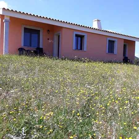 Gli Olivastri, La Rosa Dei Venti Con Piscina E Solarium , Vista Mare ,climatizzatore ,wifi Aglientu