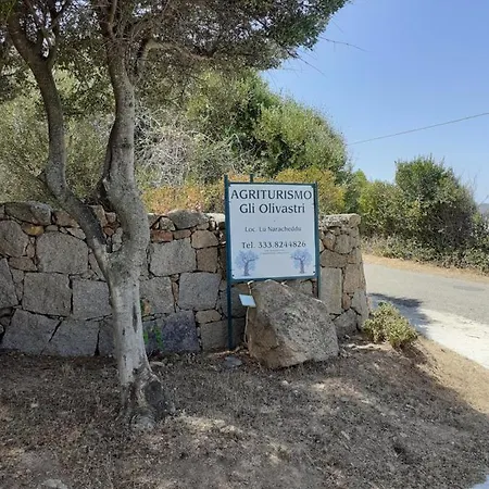 Gli Olivastri, La Rosa Dei Venti Con Piscina E Solarium , Vista Mare ,climatizzatore ,wifi