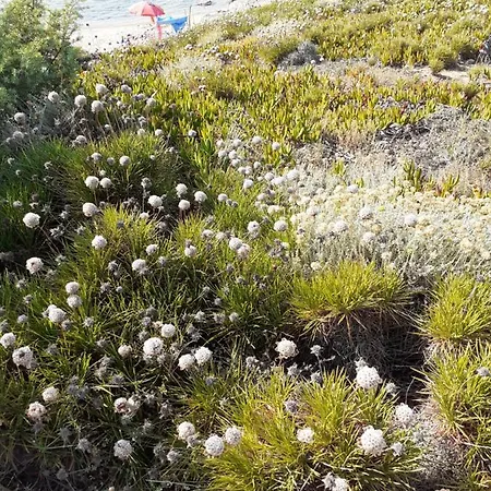 Appartamento Gli Olivastri, La Rosa Dei Venti Con Piscina E Solarium , Vista Mare ,climatizzatore ,wifi
