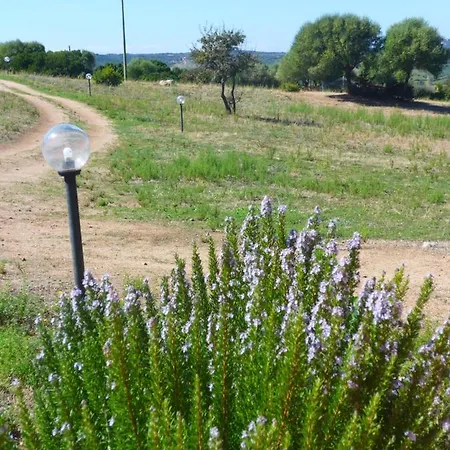 Gli Olivastri, La Rosa Dei Venti Con Piscina E Solarium , Vista Mare ,climatizzatore ,wifi Apartamento Aglientu