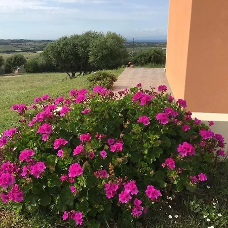 Gli Olivastri, La Rosa Dei Venti Con Piscina E Solarium , Vista Mare ,climatizzatore ,wifi Aglientu