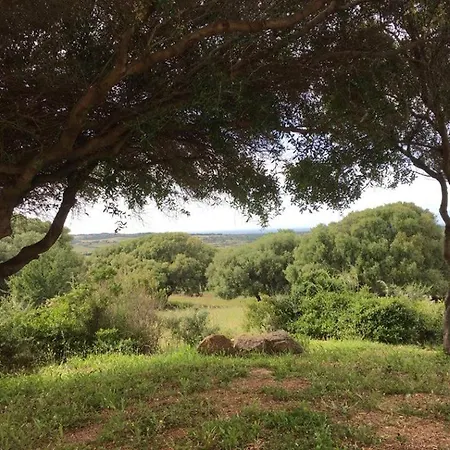 Appartamento Gli Olivastri, La Rosa Dei Venti Con Piscina E Solarium , Vista Mare ,climatizzatore ,wifi