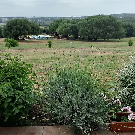 Gli Olivastri, La Rosa Dei Venti Con Piscina E Solarium , Vista Mare ,climatizzatore ,wifi Appartamento
