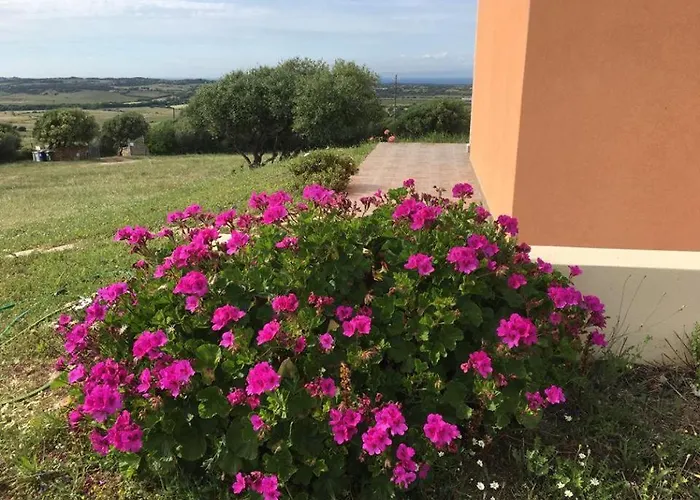 Gli Olivastri: Sea View With Pool And Wi-fi Aglientu